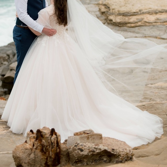 Custom Wedding Dress! Soft Blush w/Tulle Overlay, Sleeve (modest, LDS) - Picture 8 of 14